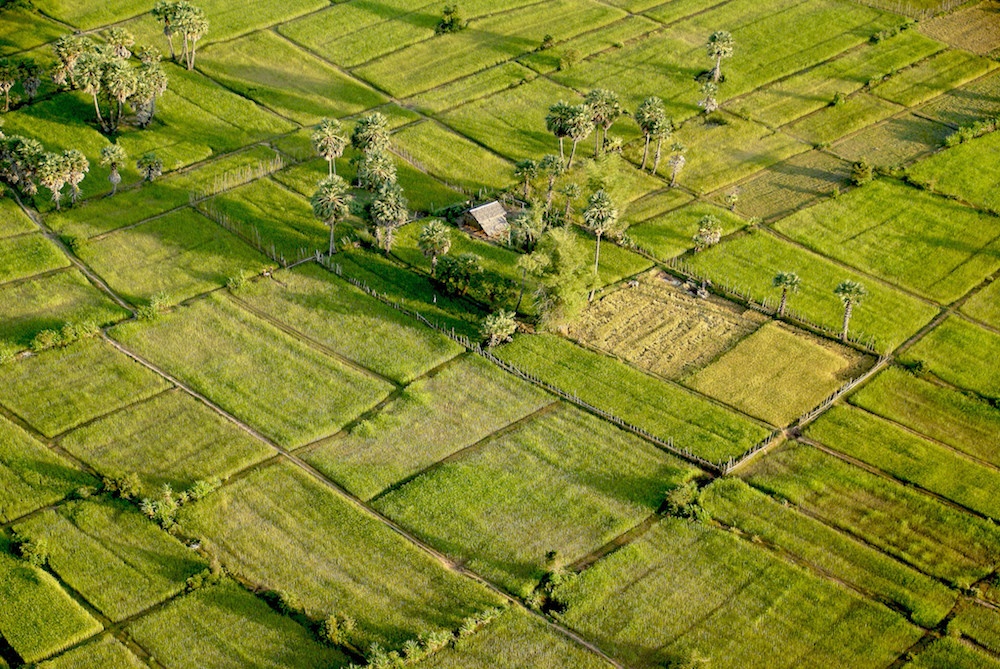 The beautiful green countryside in Cambodia